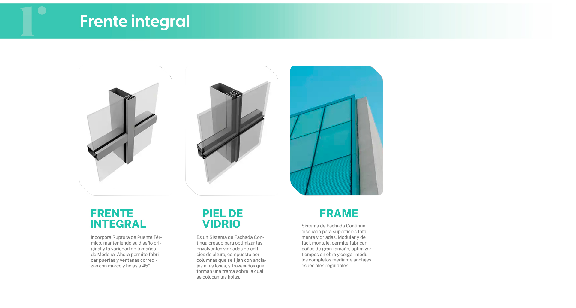 Frente integral servicio 03